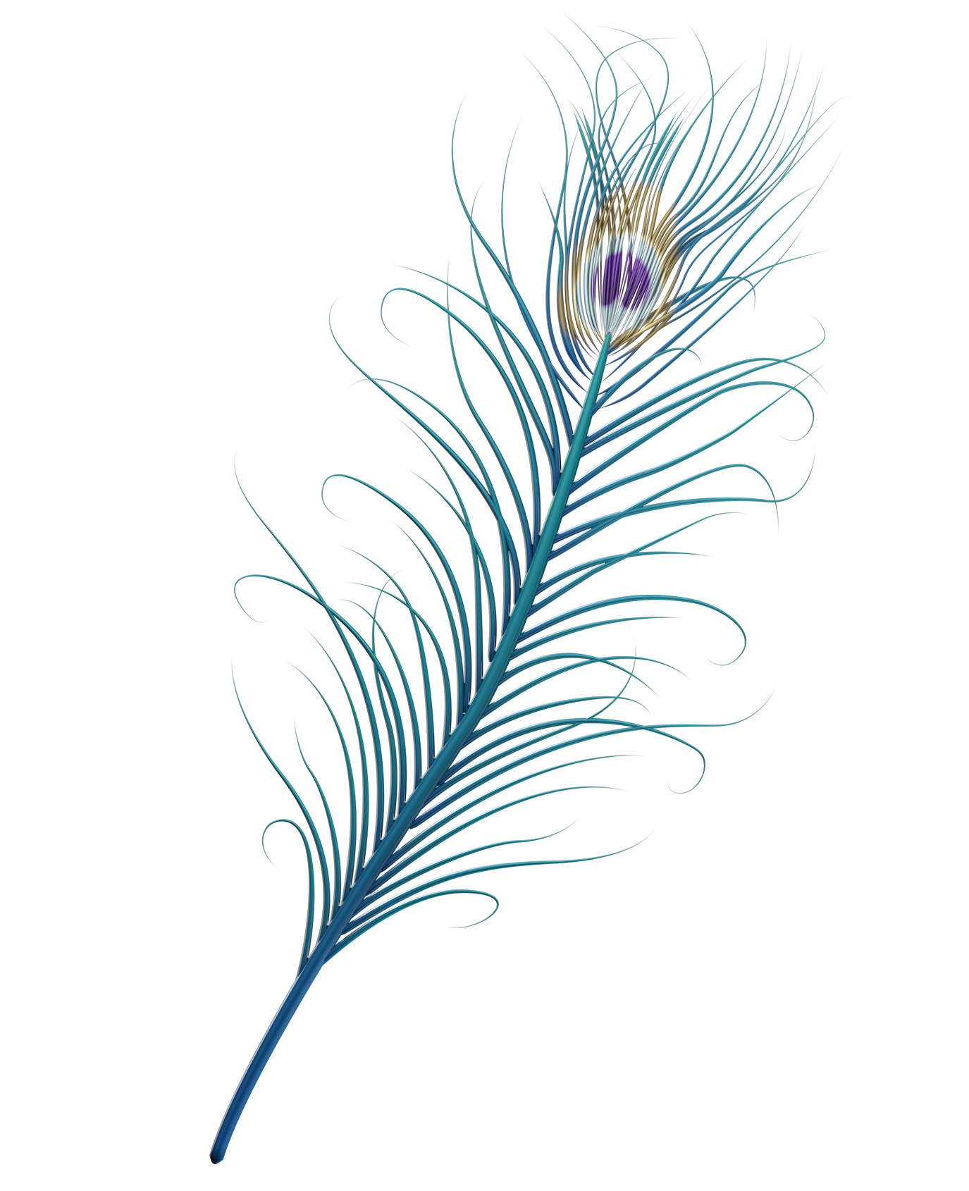 Peacock Feather Logo